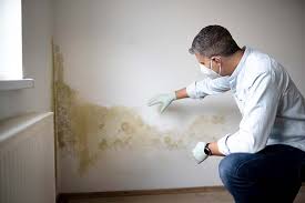 Yonkers, NY Mold Prevention & Removal  Company